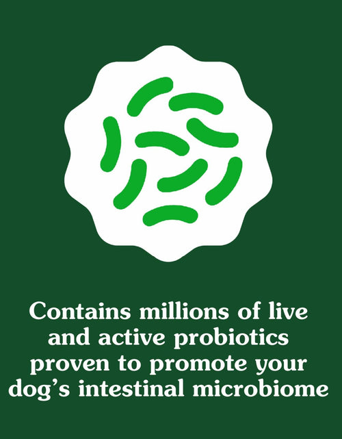 Load image into Gallery viewer, BestBy01/25 Greenies Digestive Health Probiotics DogTreats Chicken 7.8oz 40ct
