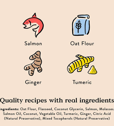 BestBy01/25 Bocce's Bakery Good Hair Dog Treats Salmon 6oz Soft Chewy Wheat-Free