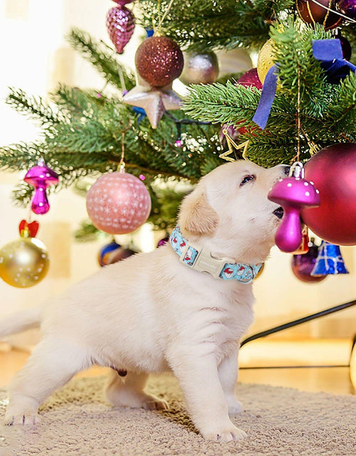 Load image into Gallery viewer, ARING PET Christmas Dog Collar Blue Adjustable Cotton Quick Release Puppy Collar

