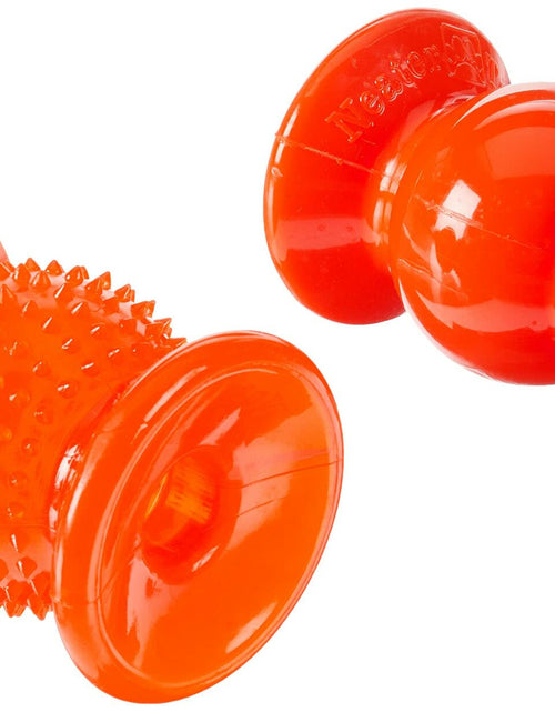 Load image into Gallery viewer, Neater Pets Rolly Cannoli 2 Pack Orange &amp; Clear - 1 Bumpy &amp; 1 Solid
