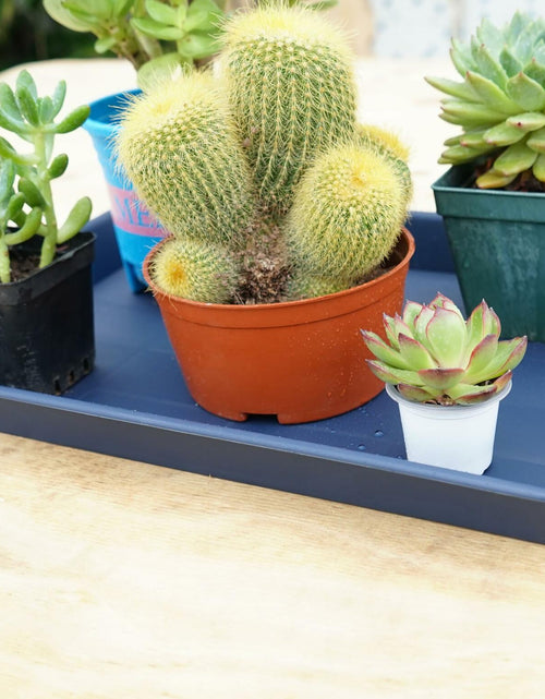 Load image into Gallery viewer, VUWEZ Plant Saucer Tray 11x9in, Heavy Sturdy Plastic Drainage Tray, 1 Pack
