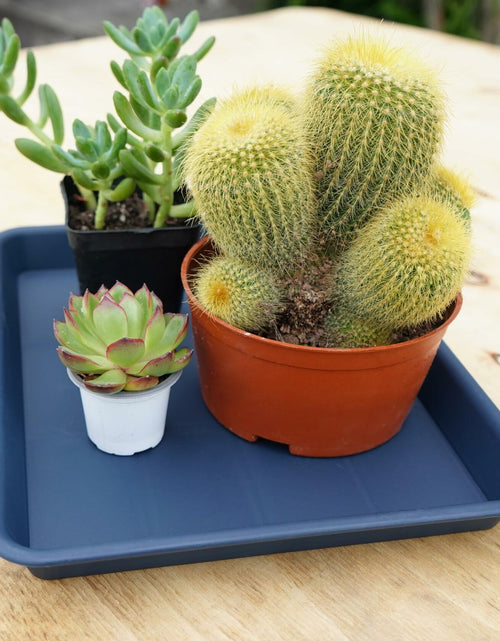 Load image into Gallery viewer, VUWEZ Plant Saucer Tray 11x9in, Heavy Sturdy Plastic Drainage Tray, 1 Pack
