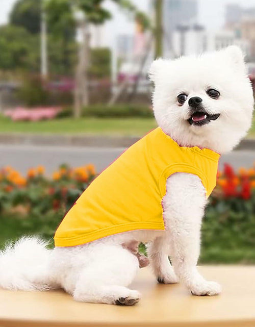 Load image into Gallery viewer, Cotton Dog Shirt Small Size Soft Breathable Sleeveless Vest for Small Dogs
