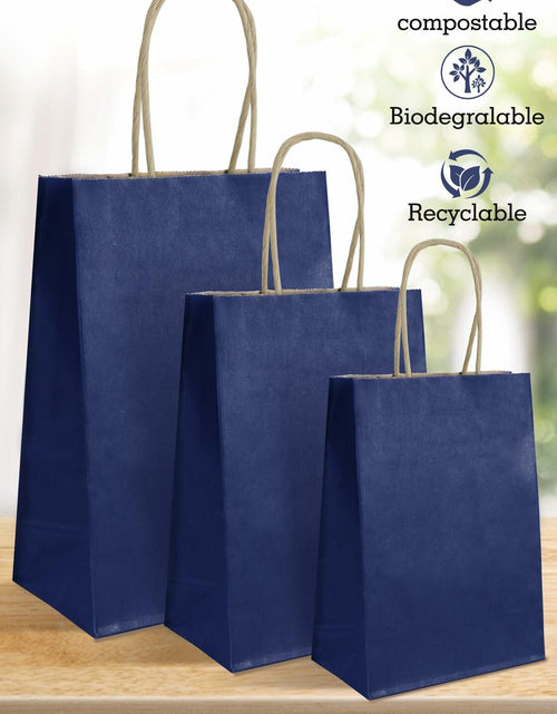 Load image into Gallery viewer, BIOBROWN Black Gift Bags with Handles 25 Pcs 5.9x3.15x8.26in Bulk Party
