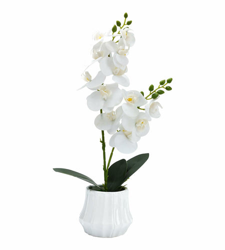 Angerlo 13" White Artificial Butterfly Orchid Ceramic Vase Decor