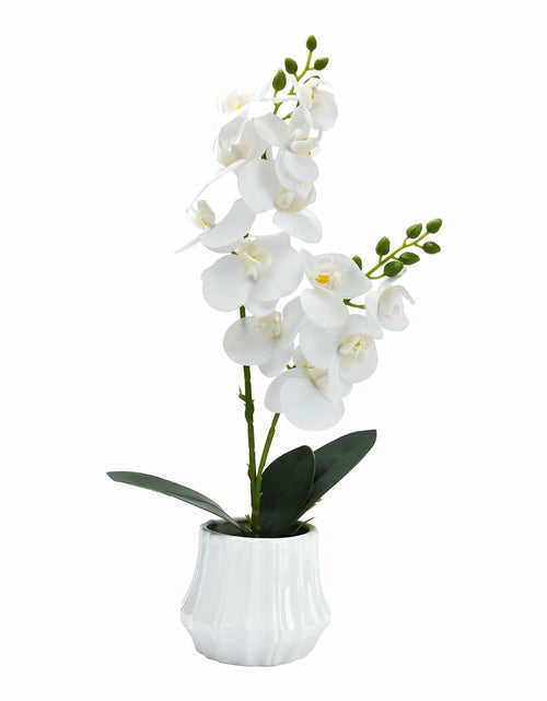 Load image into Gallery viewer, Angerlo 13" White Artificial Butterfly Orchid Ceramic Vase Decor
