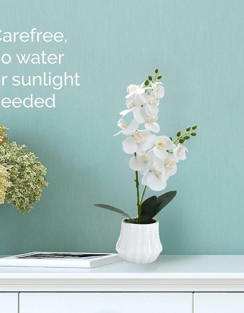 Load image into Gallery viewer, Angerlo 13" White Artificial Butterfly Orchid Ceramic Vase Decor
