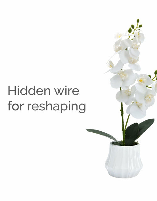 Load image into Gallery viewer, Angerlo 13" White Artificial Butterfly Orchid Ceramic Vase Decor
