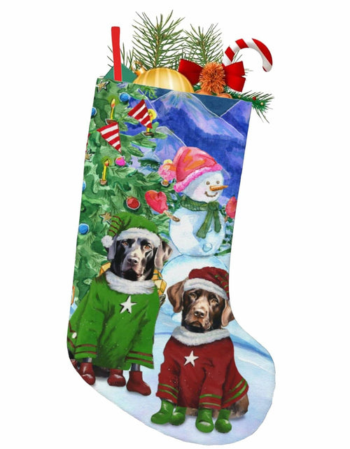 Load image into Gallery viewer, MOLAIGIN Christmas Black Labrador Chocolate lab Santa Dog Retriever 18 Inches

