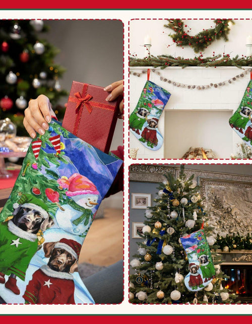 Load image into Gallery viewer, MOLAIGIN Christmas Black Labrador Chocolate lab Santa Dog Retriever 18 Inches
