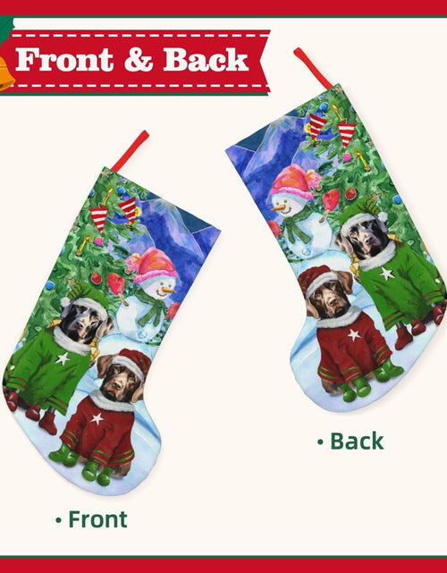 Load image into Gallery viewer, MOLAIGIN Christmas Black Labrador Chocolate lab Santa Dog Retriever 18 Inches
