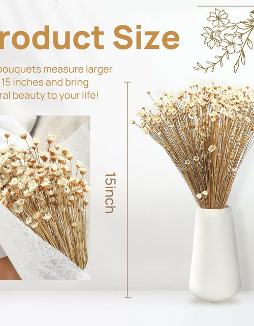 Load image into Gallery viewer, Dried Daisy Flowers Brazilian Small Star Mini Chamomile White Wedding Decor
