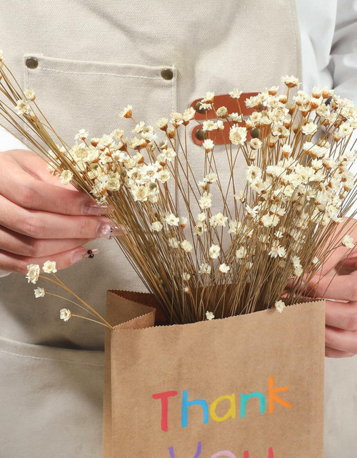 Load image into Gallery viewer, Dried Daisy Flowers Brazilian Small Star Mini Chamomile White Wedding Decor
