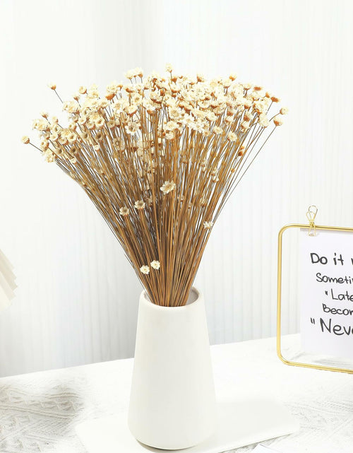 Load image into Gallery viewer, Dried Daisy Flowers Brazilian Small Star Mini Chamomile White Wedding Decor
