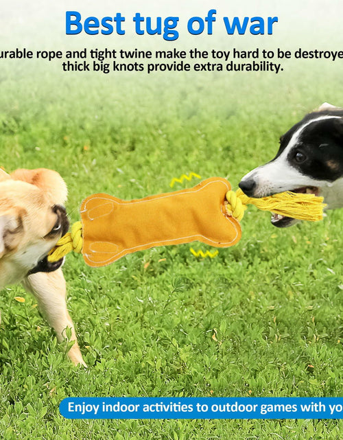 Load image into Gallery viewer, BENTOPAL Interactive Squeaky Dog Bone Toy Motion Activated Small Puppy

