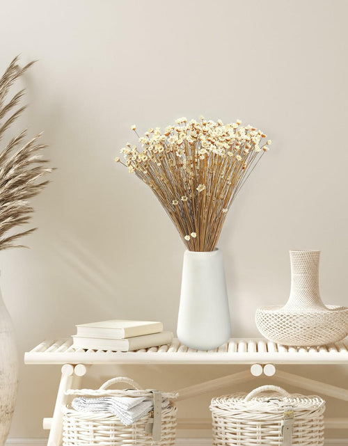 Load image into Gallery viewer, Dried Daisy Flowers Brazilian Small Star Mini Chamomile White Wedding Decor

