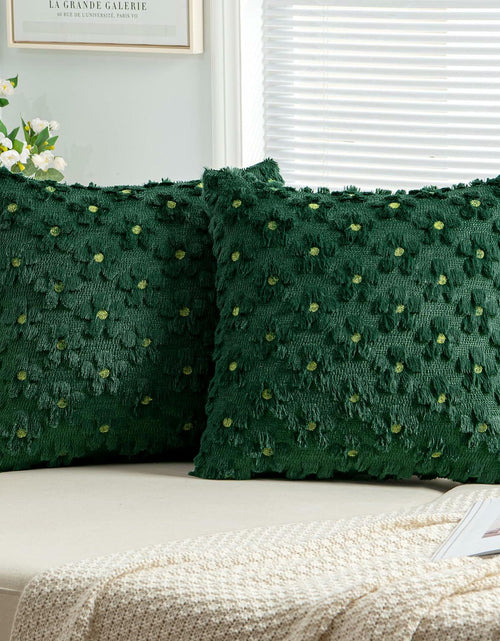 Load image into Gallery viewer, EMEMA Decorative Throw Pillow Covers 18x18 Inch Set of 2 Green Plush Soft
