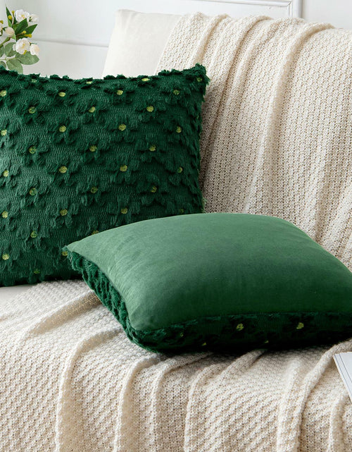Load image into Gallery viewer, EMEMA Decorative Throw Pillow Covers 18x18 Inch Set of 2 Green Plush Soft
