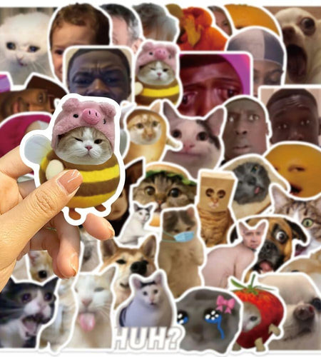 50PCS Funny Meme Vinyl Waterproof Stickers for Water Bottles Laptop Computer