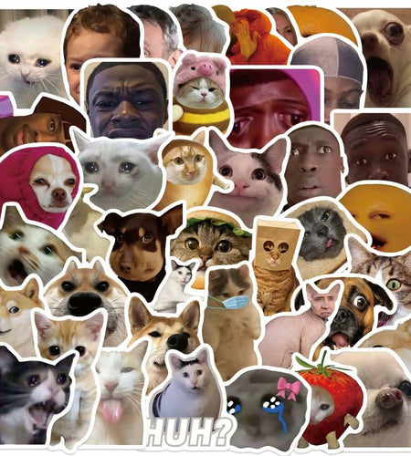 50PCS Funny Meme Vinyl Waterproof Stickers for Water Bottles Laptop Computer