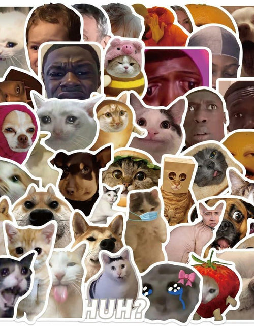 Load image into Gallery viewer, 50PCS Funny Meme Vinyl Waterproof Stickers for Water Bottles Laptop Computer

