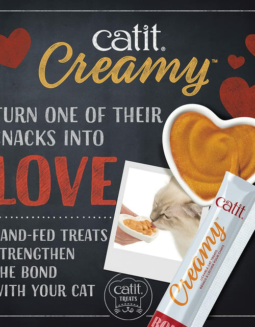 Load image into Gallery viewer, BestBy06/25 Catit Creamy Lickable Cat Treat Salmon 5-Pack Hydrating Healthy
