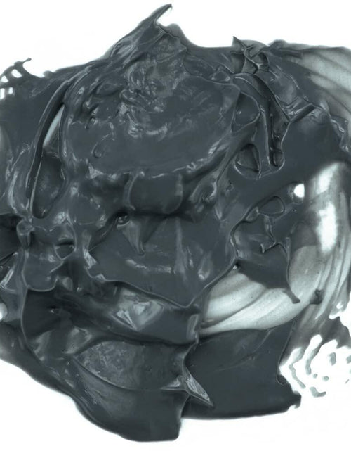 Load image into Gallery viewer, FREEMAN Charcoal &amp; Black Sugar Mud Mask Detoxifying Facial Treatment 0.5oz
