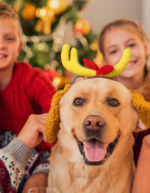 Load image into Gallery viewer, PAJXNJC Deer Antler Headband Set Dog Ears Nose Bow Tie Tail Gloves Yellow
