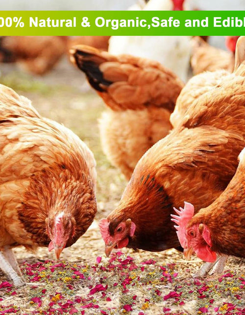 Load image into Gallery viewer, Fokzucyo Chicken Nesting Herbs 14oz Natural Premixed 8 Dried Flowers Herbs
