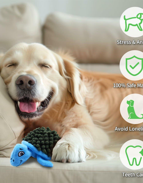 Load image into Gallery viewer, Aqezd Turtle Dog Squeaky Toy 2-in-1 Plush Rubber Core Small Breed
