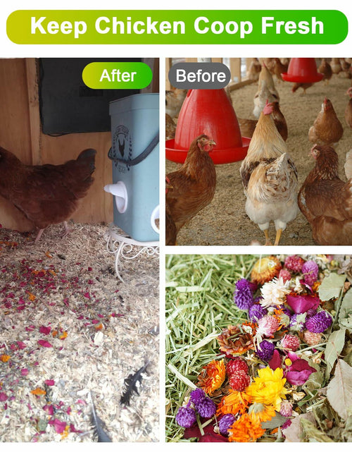Load image into Gallery viewer, Fokzucyo Chicken Nesting Herbs 14oz Natural Premixed 8 Dried Flowers Herbs
