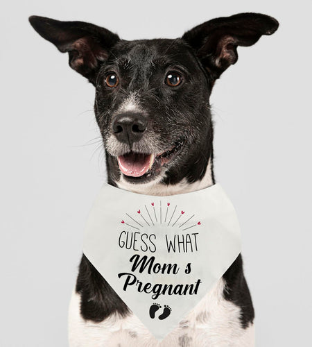 Guess Pregnancy Announcement Dog Bandana Christmas Pet Accessory