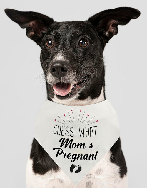Load image into Gallery viewer, Guess Pregnancy Announcement Dog Bandana Christmas Pet Accessory
