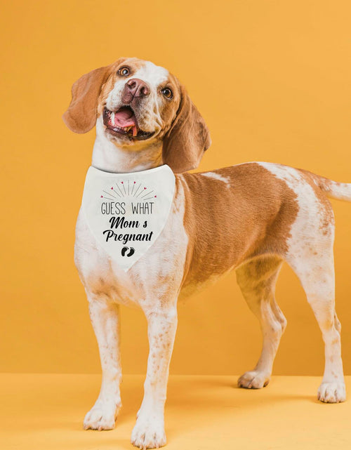 Load image into Gallery viewer, Guess Pregnancy Announcement Dog Bandana Christmas Pet Accessory
