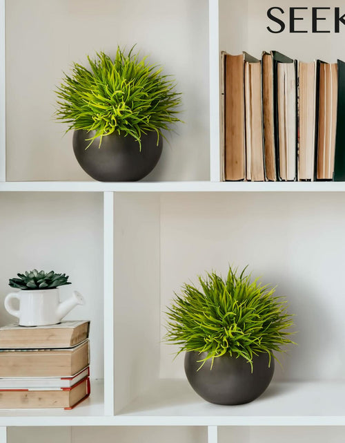 Load image into Gallery viewer, SEEKO Succulents Artificial Plants 2 Pack Indoor Fake Desk Shelf Decor
