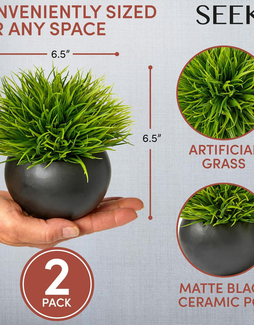 Load image into Gallery viewer, SEEKO Succulents Artificial Plants 2 Pack Indoor Fake Desk Shelf Decor
