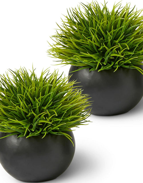 Load image into Gallery viewer, SEEKO Succulents Artificial Plants 2 Pack Indoor Fake Desk Shelf Decor
