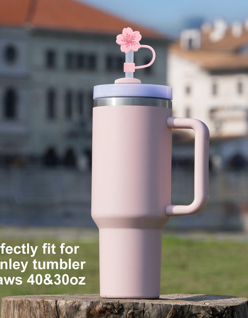 Load image into Gallery viewer, CXLL Silicone Straw Covers Flower Caps for Stanley Tumbler 30&amp;40oz 3pcs

