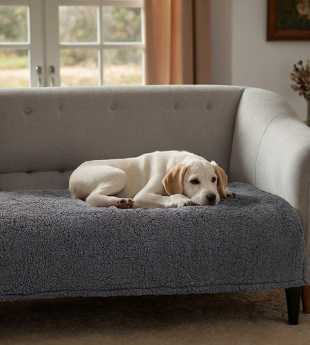 Waterproof Stuffed Dog Bed Cover Blanket Reversible Paw Print Grey 52x82