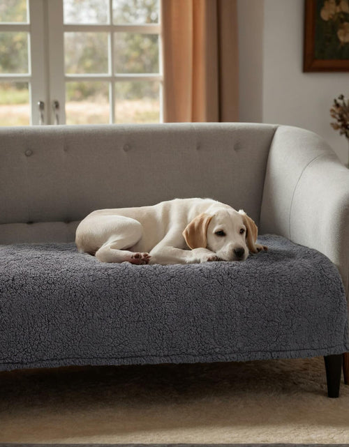 Load image into Gallery viewer, Waterproof Stuffed Dog Bed Cover Blanket Reversible Paw Print Grey 52x82
