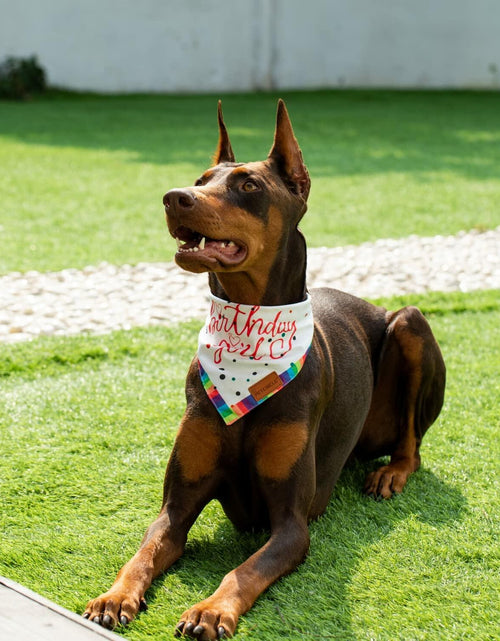 Load image into Gallery viewer, Big Sister Dog Bandana Double Layer Fabric Green Large Size L
