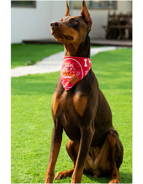 Load image into Gallery viewer, Big Sister Dog Bandana Double Layer Fabric Green Large Size L
