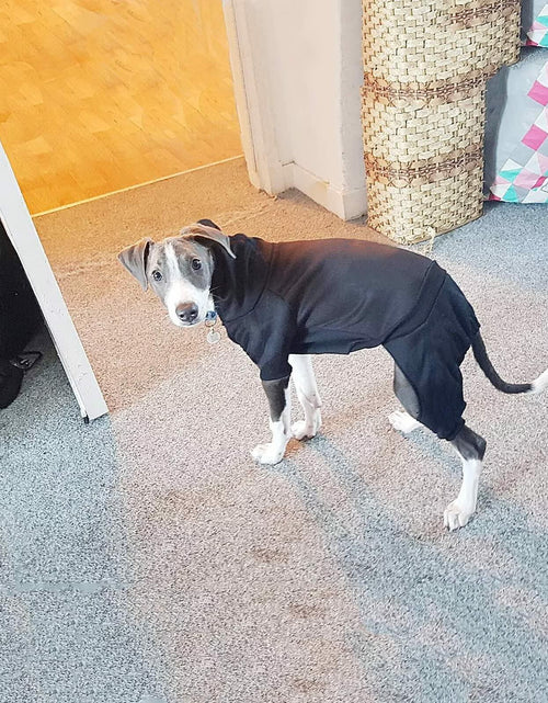 Load image into Gallery viewer, Dog Hoodie Pet Jumpsuit Fleece Sweatshirt Buttons Winter Warm Cotton Size Medium
