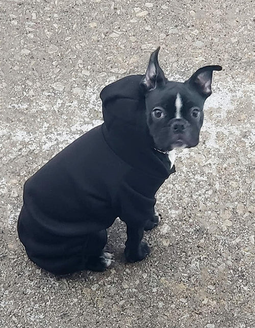 Load image into Gallery viewer, Dog Hoodie Pet Jumpsuit Fleece Sweatshirt Buttons Winter Warm Cotton Size Medium
