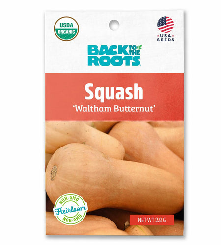 Winter Waltham Butternut Squash Seed Packet 2.8g Heirloom Planting