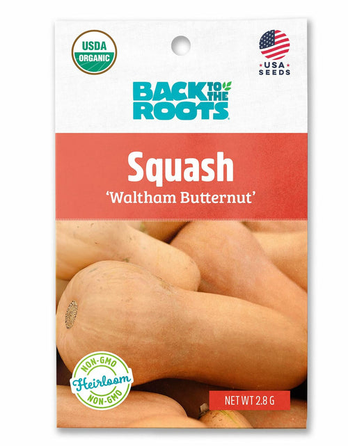 Load image into Gallery viewer, Winter Waltham Butternut Squash Seed Packet 2.8g Heirloom Planting
