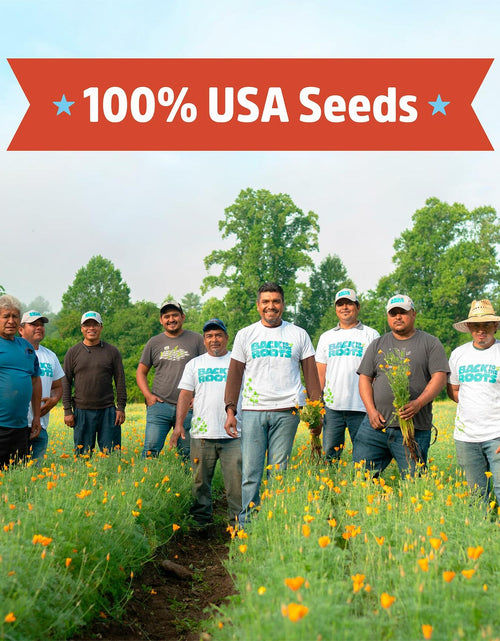Load image into Gallery viewer, Winter Waltham Butternut Squash Seed Packet 2.8g Heirloom Planting

