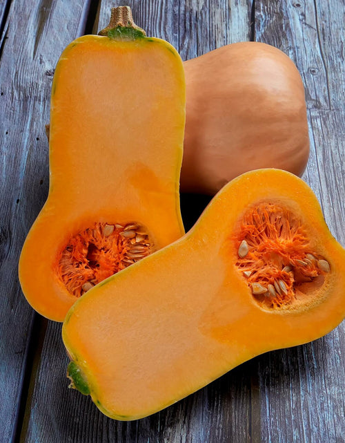 Load image into Gallery viewer, Winter Waltham Butternut Squash Seed Packet 2.8g Heirloom Planting
