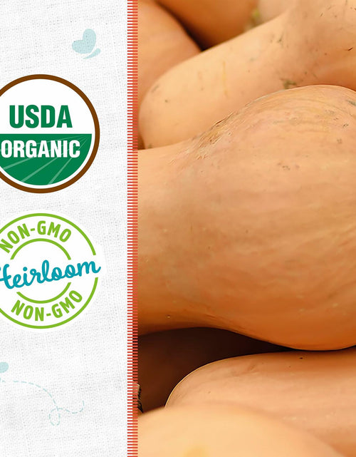 Load image into Gallery viewer, Winter Waltham Butternut Squash Seed Packet 2.8g Heirloom Planting
