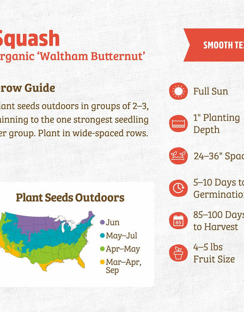 Load image into Gallery viewer, Winter Waltham Butternut Squash Seed Packet 2.8g Heirloom Planting
